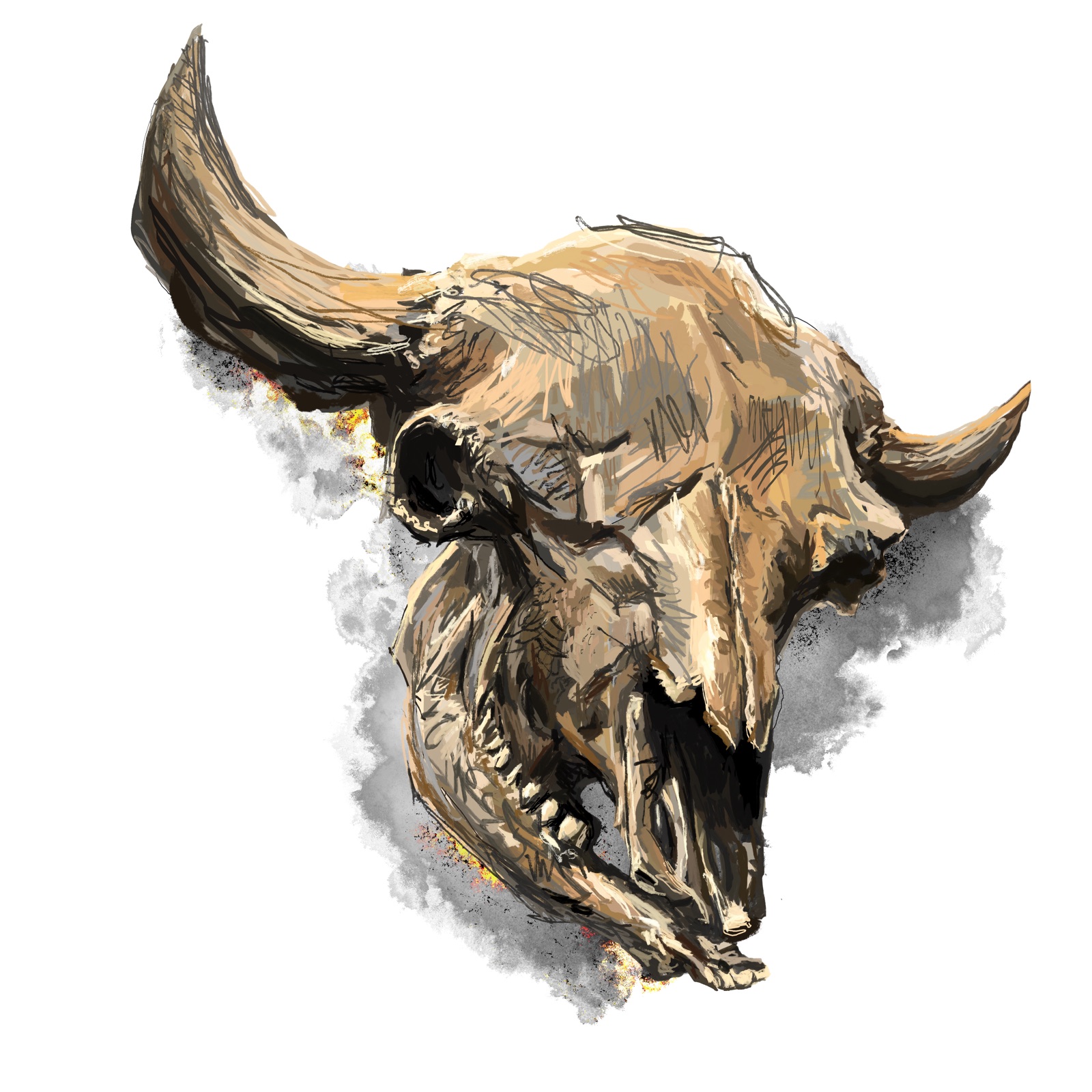 "Aurochskull" — digital illustration of a bison skull